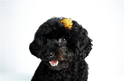 这款猛男♂互搏的游戏终于要上线WeGame了！